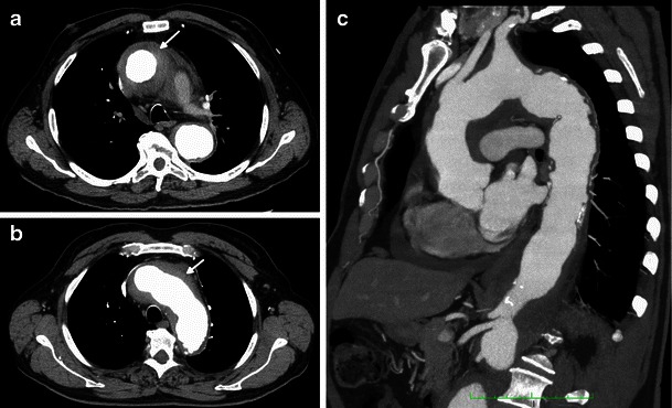 Fig. 8