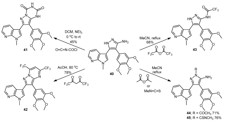 Scheme 6