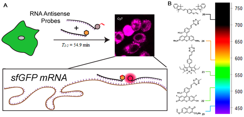 Figure 5.