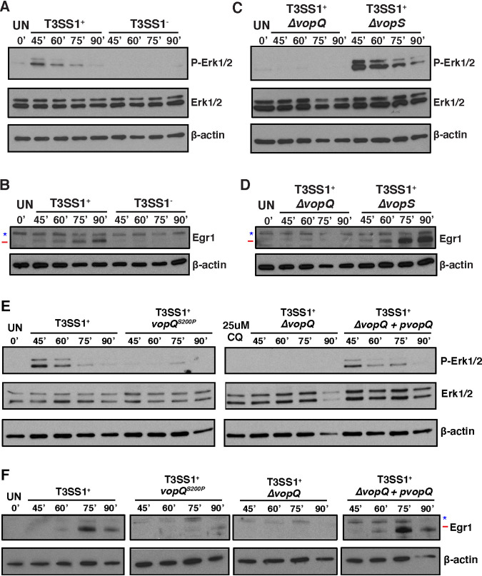 FIG 2