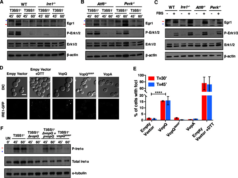 FIG 3