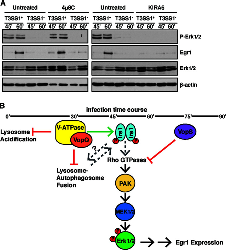 FIG 4