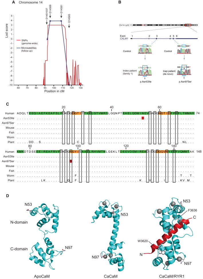 Figure 2