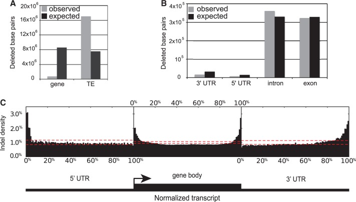 Fig. 3.—