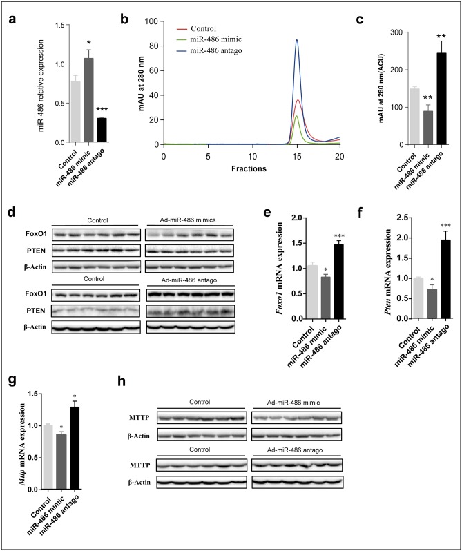 Fig 5