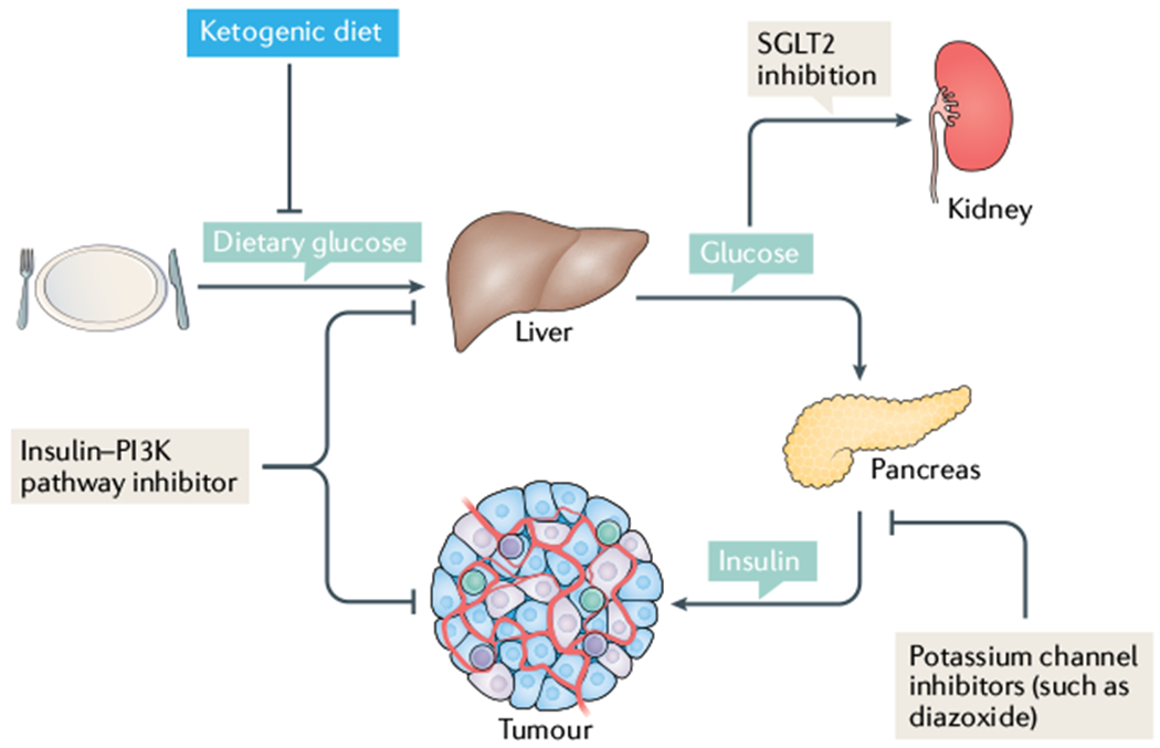 Fig. 4 |