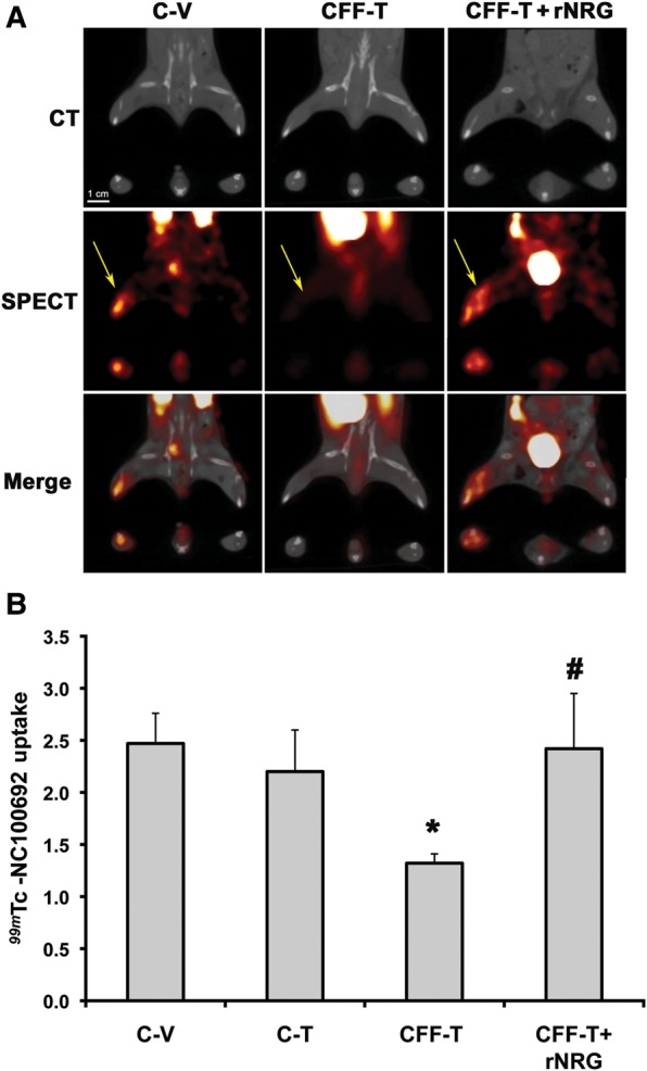 Figure 4