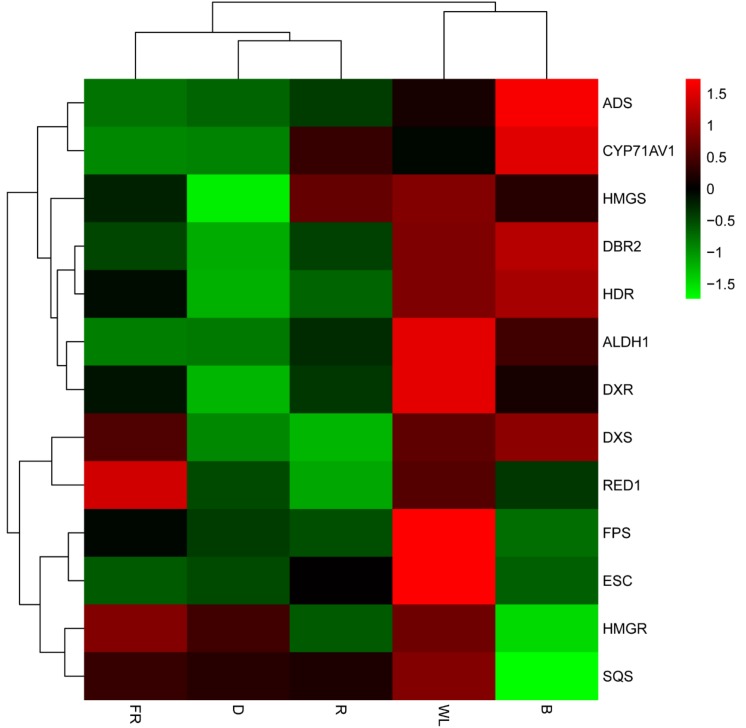 Figure 5