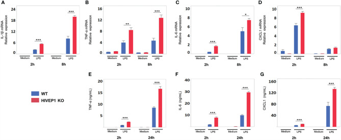 Figure 4