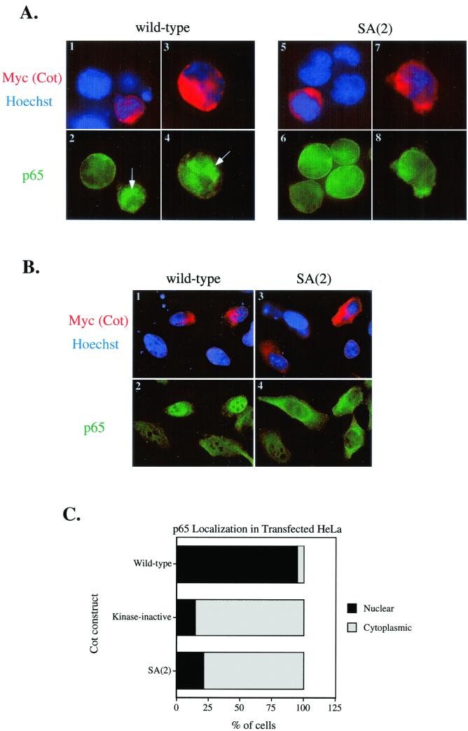 FIG. 7.