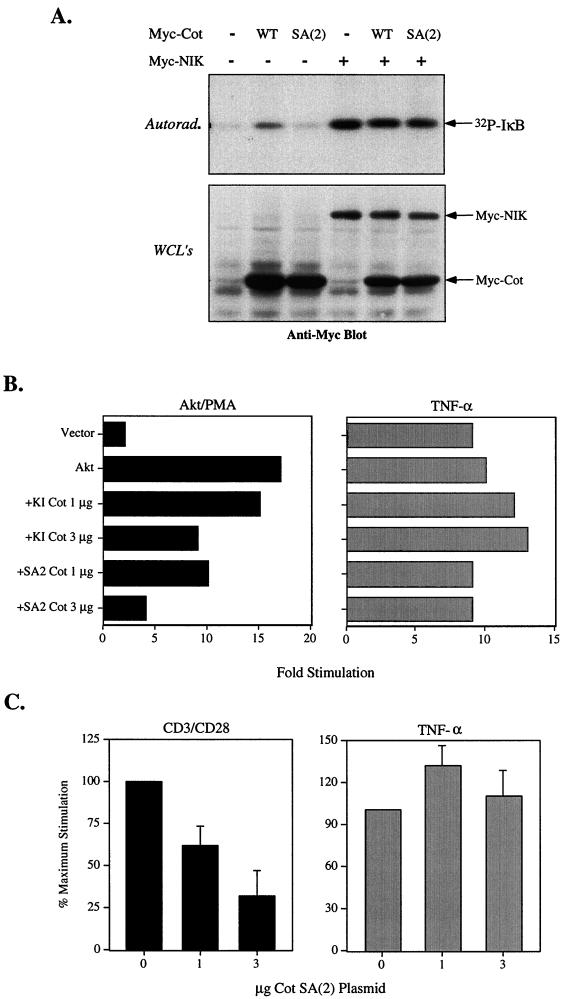 FIG. 8.