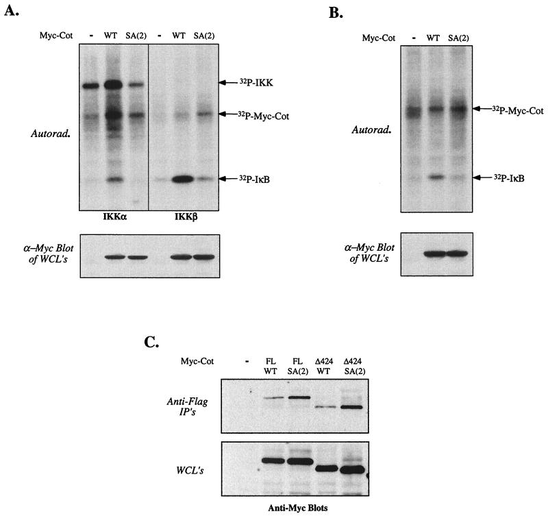 FIG. 6.