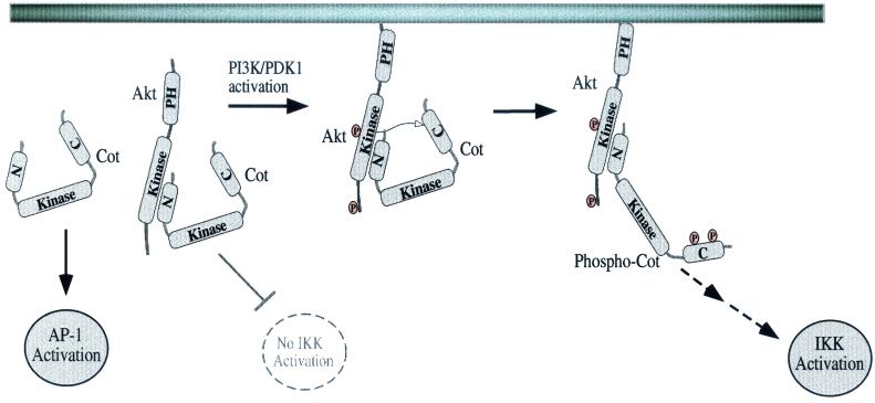 FIG. 9.