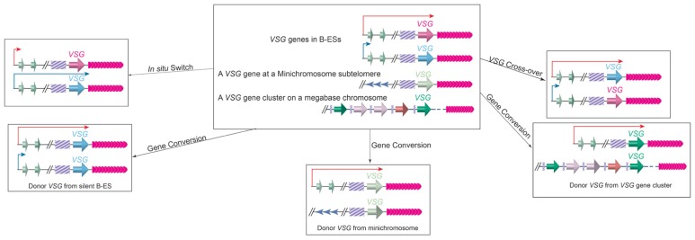 FIGURE 4