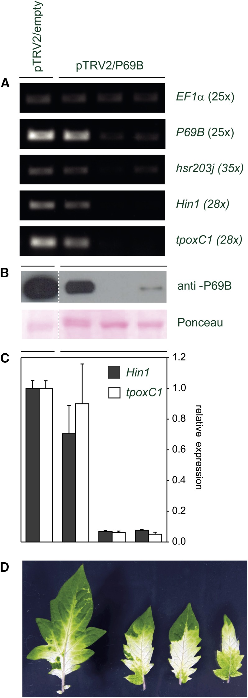 Figure 7.