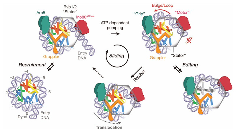 Figure 4