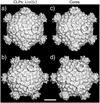 FIG. 5.