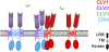 Figure 6.