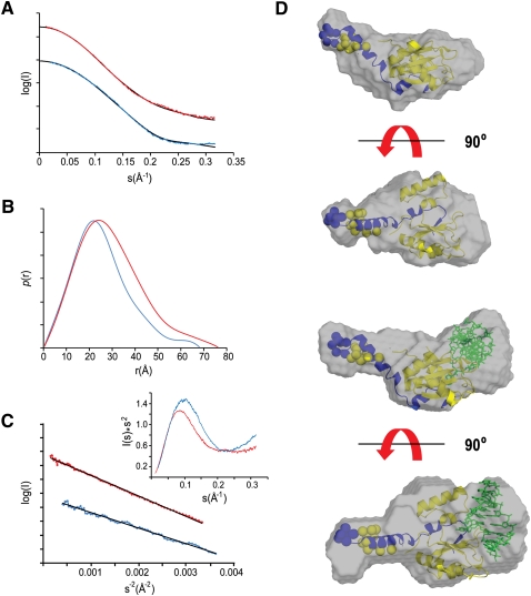 FIGURE 5.