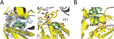 FIGURE 4.