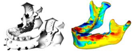 Fig. (6)