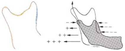 Fig. (7)