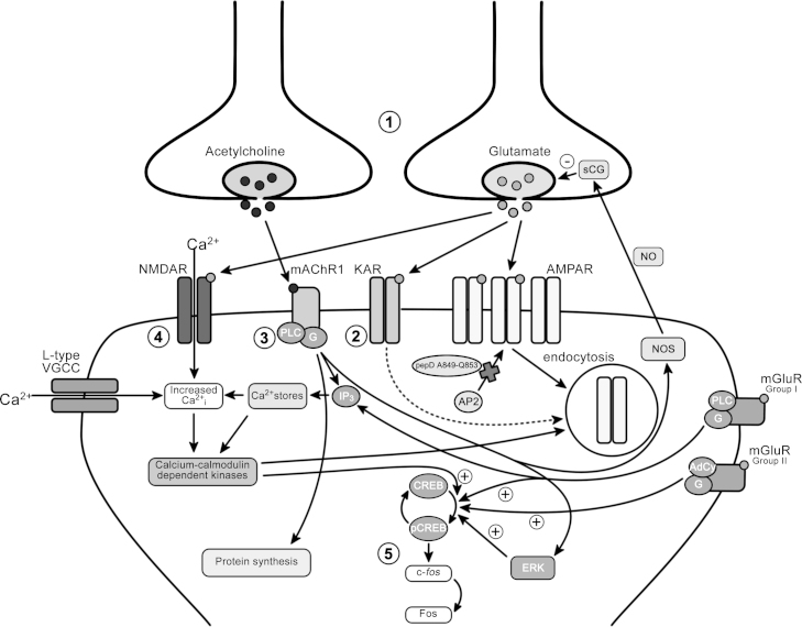 Fig. 6