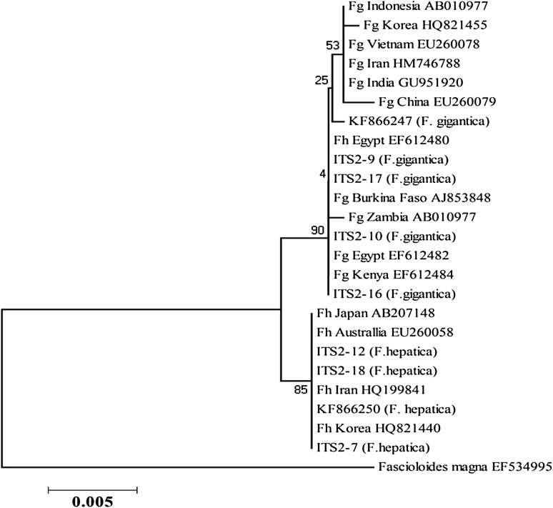 Fig. 3