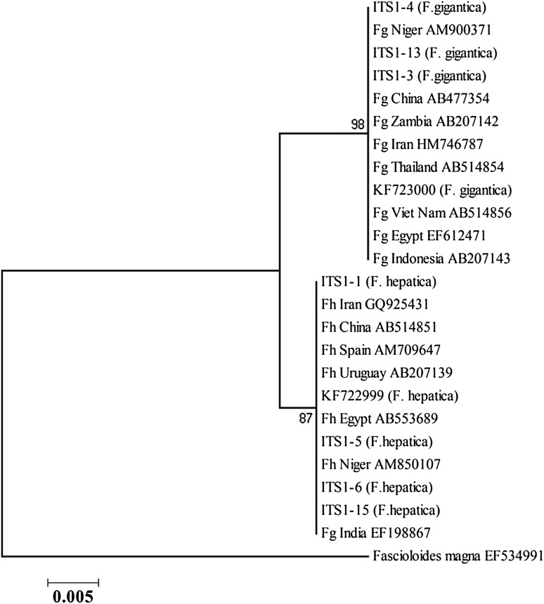 Fig. 2