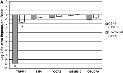 Figure 4.—