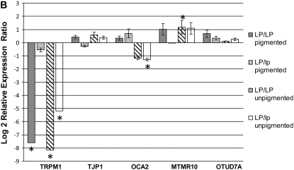 Figure 4.—