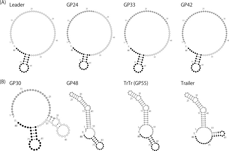 FIG 6