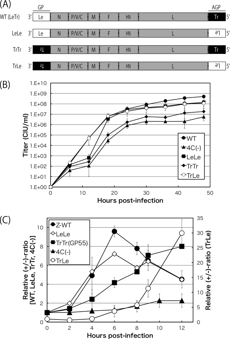 FIG 4