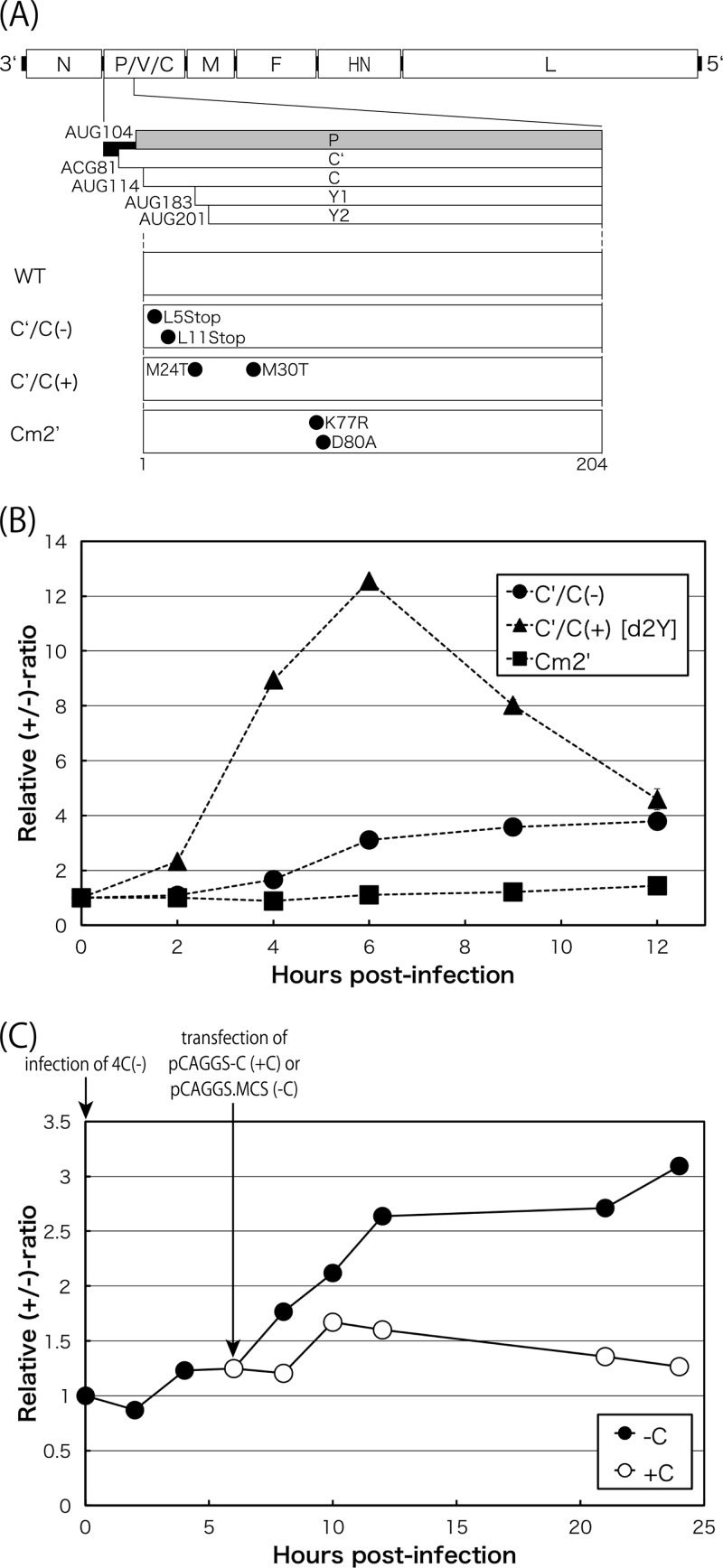 FIG 3