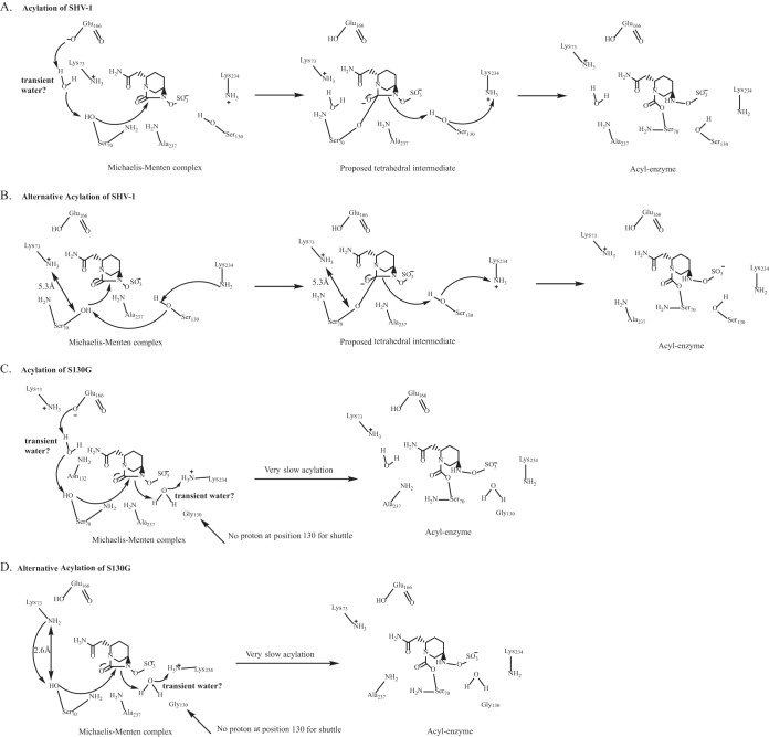 FIG 6