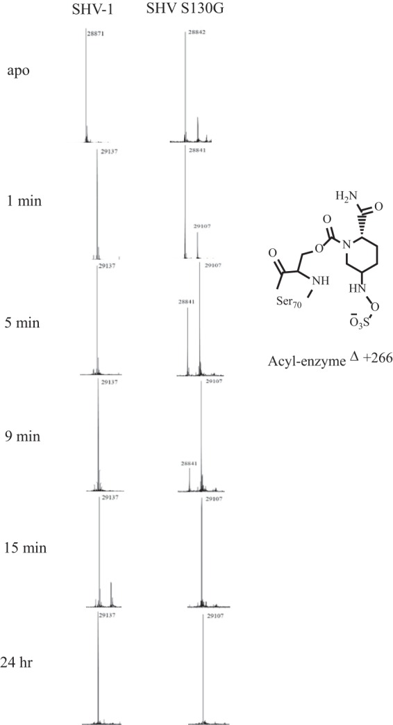 FIG 3