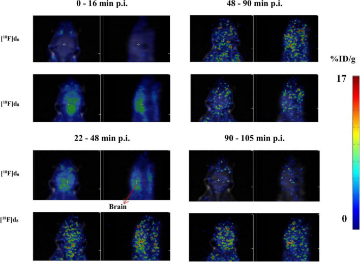 FIGURE 12