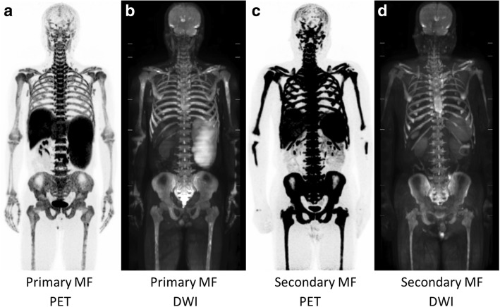 Fig. 8