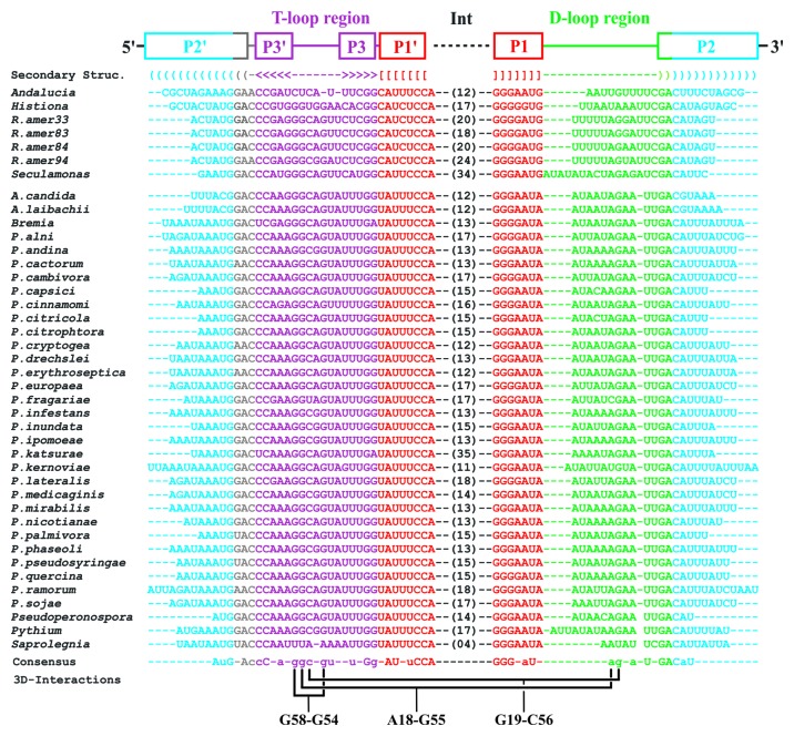 graphic file with name rna-10-1117-g2.jpg