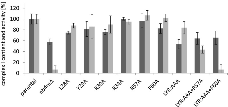 Fig. 3.