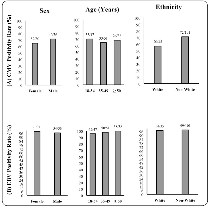 FIGURE 1: