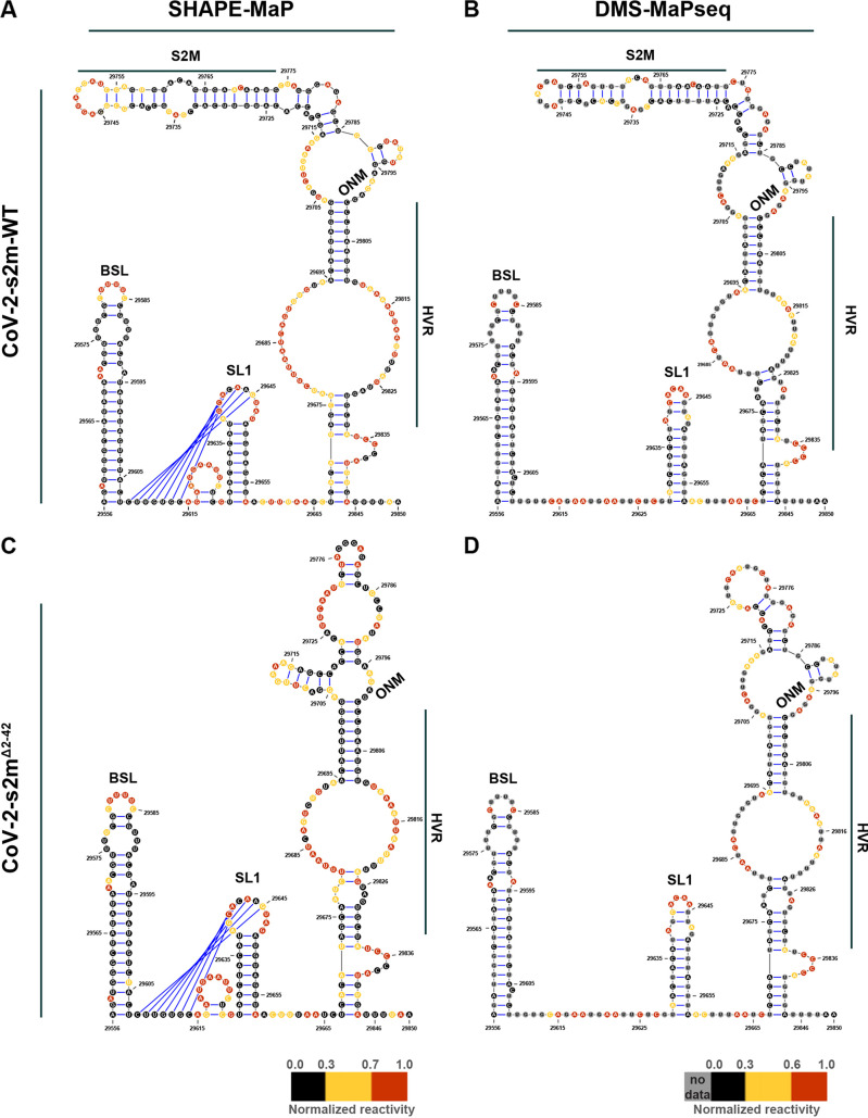 FIG 5