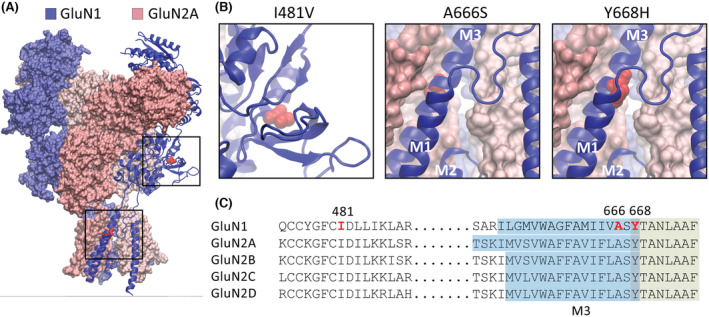 FIGURE 1