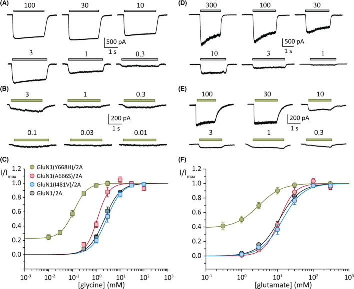 FIGURE 3