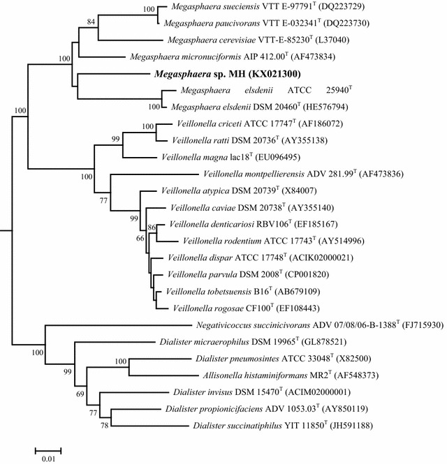 Fig. 2