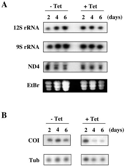 FIG. 5.