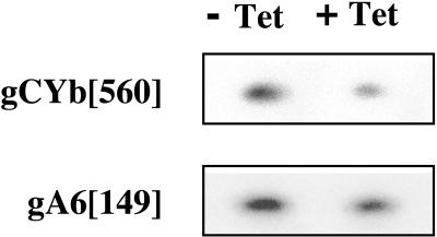 FIG. 7.