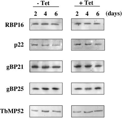 FIG. 8.