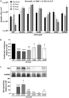 FIG 2