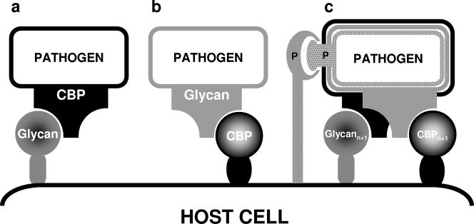 FIG. 1.